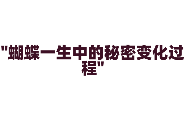 "蝴蝶一生中的秘密变化过程"